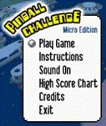 game pic for pinball challenge